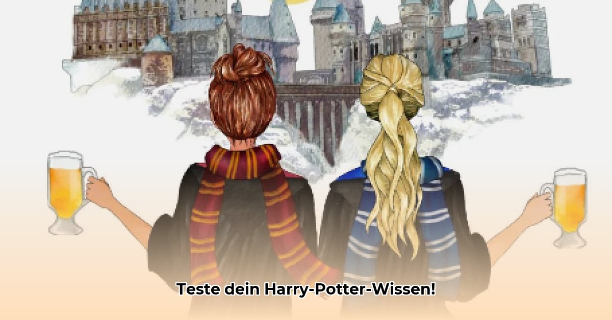 freund-von-harry-potter